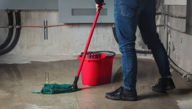 Best Flood restoration services  in Walnut Grove, CA