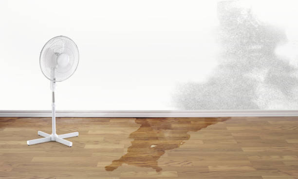 Best 24-hour water damage restoration  in Walnut Grove, CA