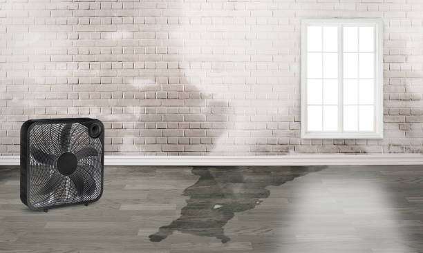 Best Fire Damage Restoration  in Walnut Grove, CA