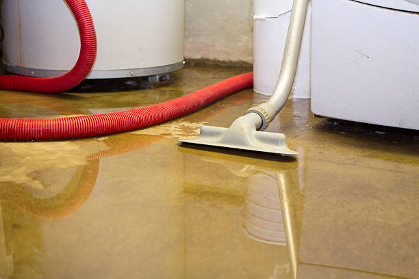 Best Water damage cleanup near me  in Walnut Grove, CA
