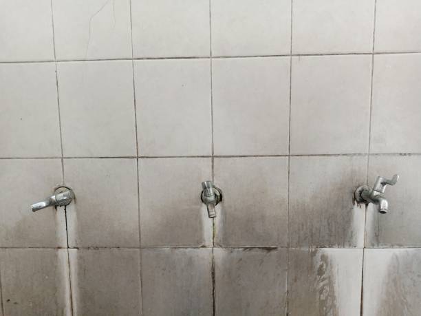 Best Local water damage restoration  in Walnut Grove, CA