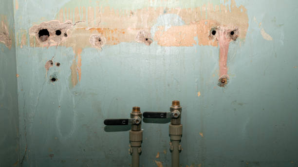 Best Water damage restoration near me  in Walnut Grove, CA