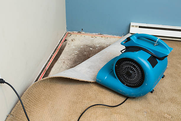  Walnut Grove, CA Water damage restoration Pros